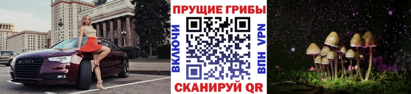 Галлюциногенные грибы Psilocybe  где найти   Гаврилов Посад 